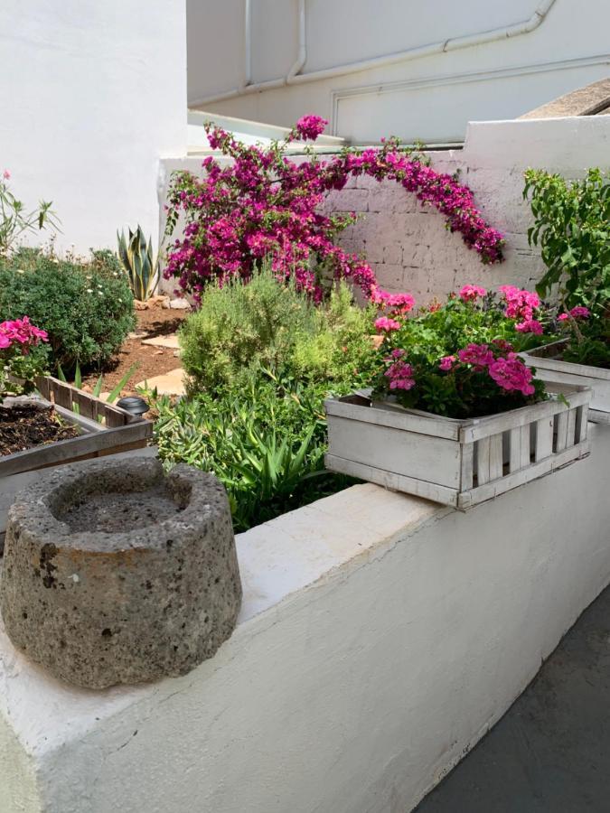 Le Cummerse In Centro Alberobello Bagian luar foto